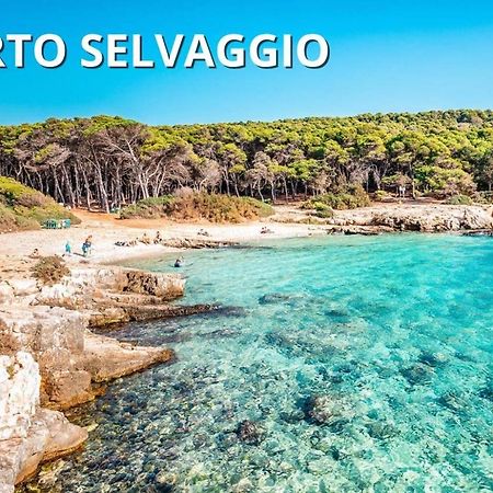 Casa Smeraldo Mare A Sud Di Porto Cesareo Torre Inserraglio المظهر الخارجي الصورة