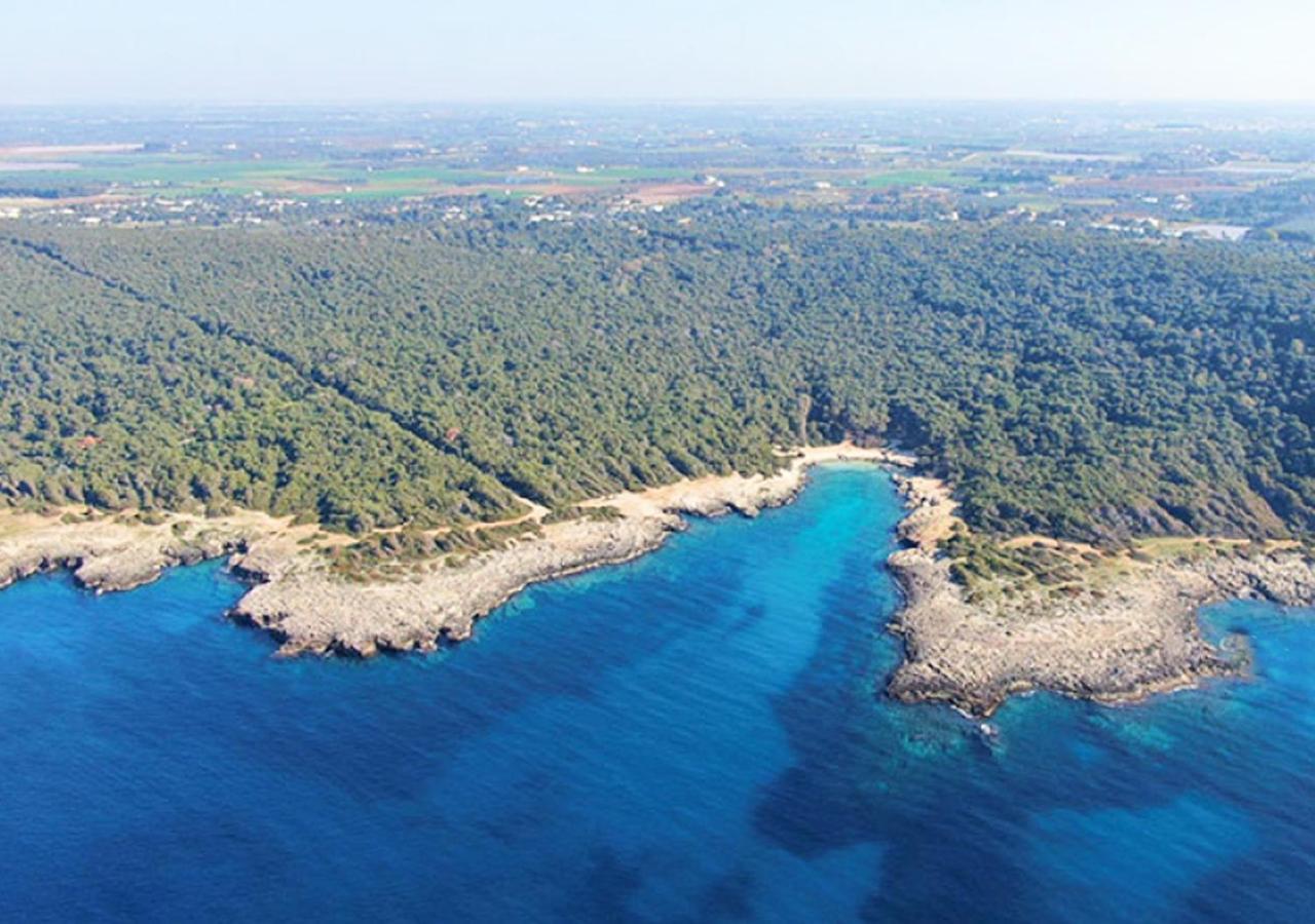 Casa Smeraldo Mare A Sud Di Porto Cesareo Torre Inserraglio المظهر الخارجي الصورة